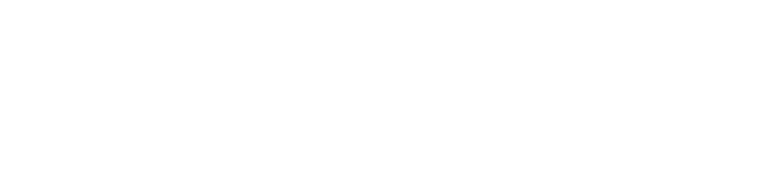 Digital Growth Partner for SMBs 5 PSignite Logo